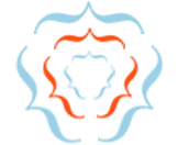 Harness Our Expertise